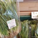 사임당로14길 15 이미지