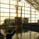 톨게이트 낚시터 이미지