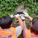 하송경로당 이미지