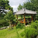 흙내음황토 이미지