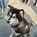 팅커벨하우스 이미지