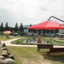 화순 하니움문화스포츠센터 공설운동장 이미지