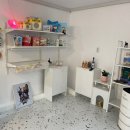 댕스큐즈미 이미지