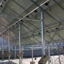 일영산전 햇빛발전소 이미지