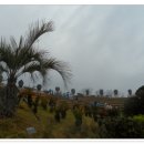 미륵산전망대 이미지