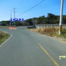 어유1리 티스토리