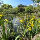 서홍동 재활용 도움센터 이미지