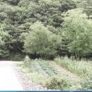 송계계곡