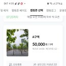 월악아지트캠핑장 이미지