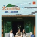 효리네 민박 이미지