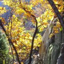 사진마당 이미지