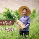 대관령 농사꾼 이미지