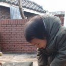 자연책사랑 이미지