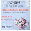 개업식 축하화분 전문점은? 일원동 청담동 삼성동 신사동 개업 행사 취임식 승진 화분배달 가격 선택 후기