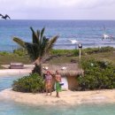 씨 라이프 이미지