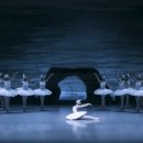 구미시문화예술회관 대공연장 이미지