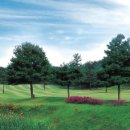 관악정한우 이미지