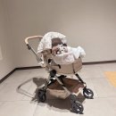 비비앤준 | 추천, 산책매트추천]비비앤코코 블랭킷,강아지 블랭킷,거즈블랭킷/ 강아지 산책매트 추천 및 솔직사용후기