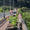 중앙탑면 행정복지센터 이미지