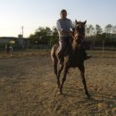 경주목장 이미지