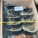 황자매김밥
