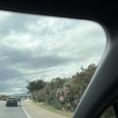 광수농장 | [신혼여행] 동화같은 섬 마요르카에서의 4박5일🪺