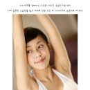 이브올루션 이미지