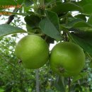 가을농원 이미지