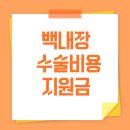 영도구청 보건소 | 2025년 백내장 수술비 부담 줄이기｜부산 아버지 수술비 지원금 받은 후기