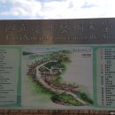 대종주유소 이미지