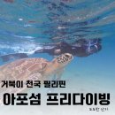 필리핀 아포섬 프리다이빙 자격증 AIDA2 따고 다녀온 후기