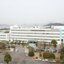 솔빛길유치원 이미지