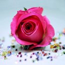 (주)혜우 이미지