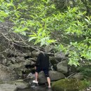 마운틴관광농원 | 마산캠핑장 영학관광농원 캠핑장 내돈내산 후기 명당 ( A12 사이트 )