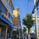 송탄로371번길 | 평택사다리차 활용에서 주목할 만한 세부 포인트 분석