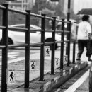 버스정류장 옆 횡단보도 이미지