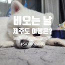 세창약국 이미지