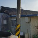 성덕초등학교(버스정류장) 이미지