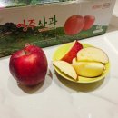 총각농장 | 사과총각 저농약 홍로사과 5kg 세상에 하나뿐인 사과