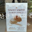 밀본베이커리 | 정통 프리미엄 생식빵 전문점 밀본베이커리 후기 (ft.벚꽃구경)