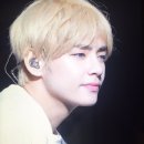 LYS 이미지