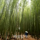 바람소리새소리 이미지