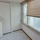 우림필유 이미지