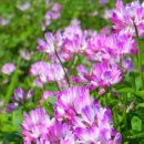 고향의 봄(공예) 이미지