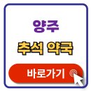 양주약국 | 양주 추석 문 여는 약국 검색 휴일지킴이 약국 찾기 최신 정보