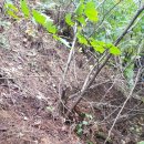 너래농원 이미지