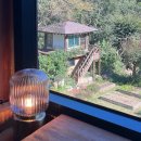 숲속 아지트 | [경남 창녕] 숲속 감성 아지트, ‘숲속애’ 카페 내돈내산 후기