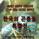 인천나비공원 엔디엔뉴스