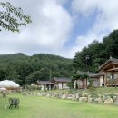 돌사랑 | 애견 동반 여행 봉화 강아지 독채 펜션 청옥스테이