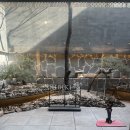 스시사 | [서울/청담] 스시사 런치 - 대관한 듯한 기분